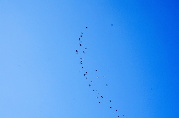 wKgBs1hbgmqAQYpUAACR2WW6yqc02.jpeg?imageView2%2F2%2Fw%2F600%2Fh%2F600%2Fq%2F90