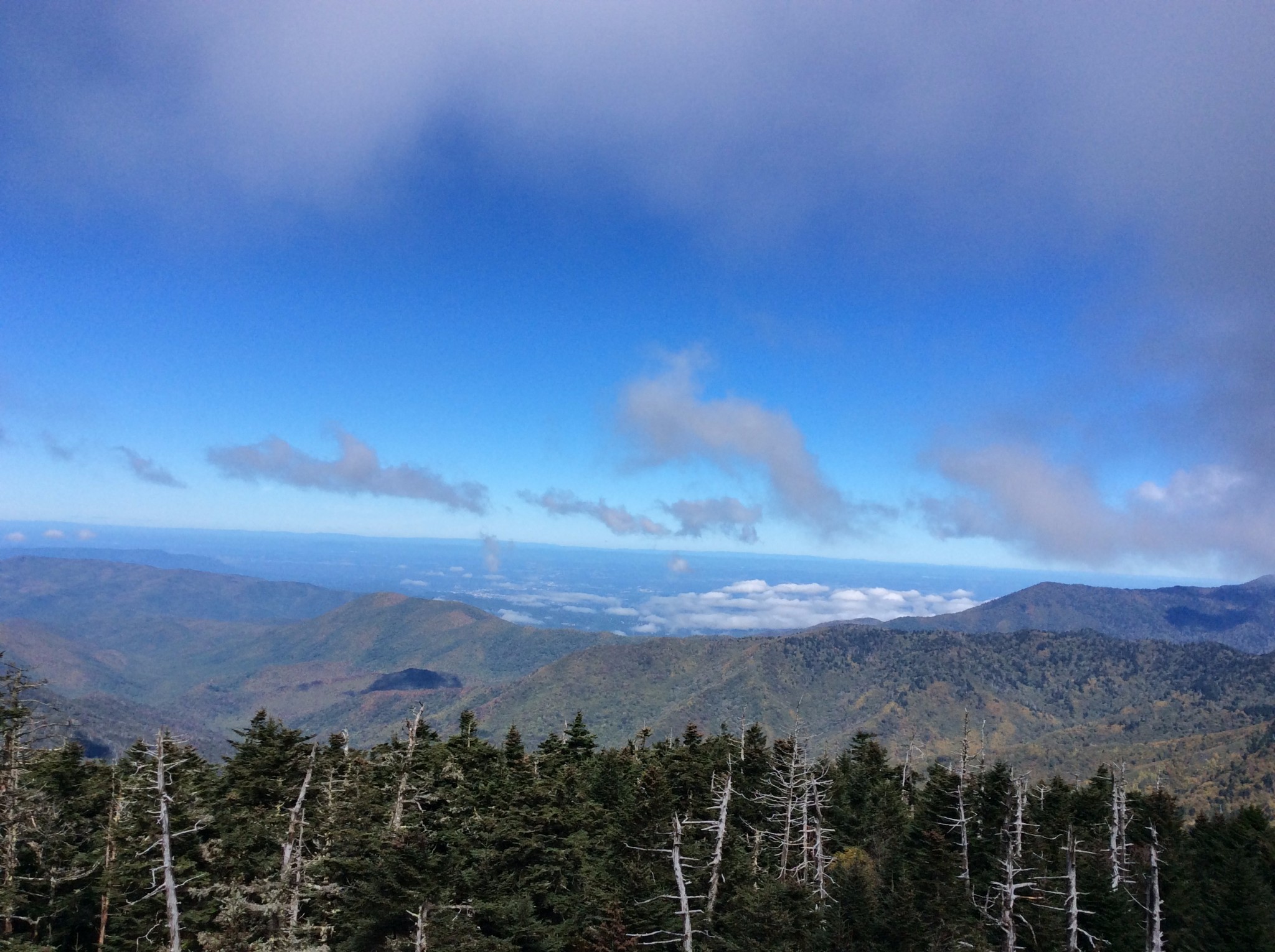 "冷门"景点:大烟山国家公园great smoky mountains 23