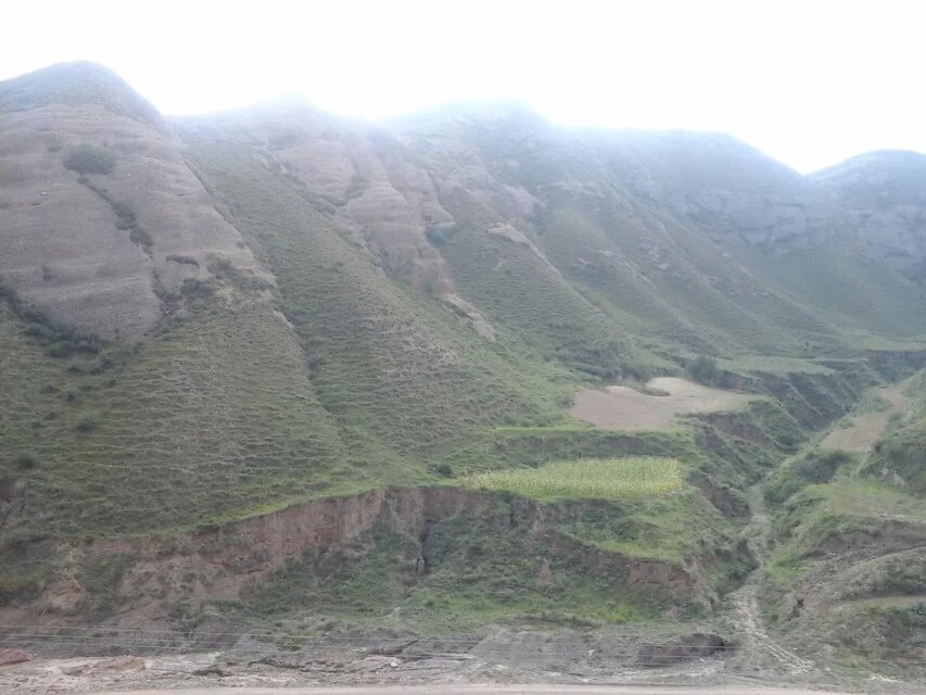 wKgBs1frGHyAR8hmAAFg_8SOpvA45.jpeg?imageView2%2F2%2Fw%2F600%2Fh%2F600%2Fq%2F90