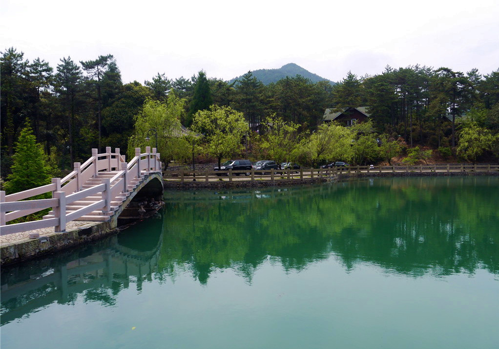 1永嘉(楠溪江)四海山森林公园图片82,楠溪江旅游景点,风景名胜 - 马