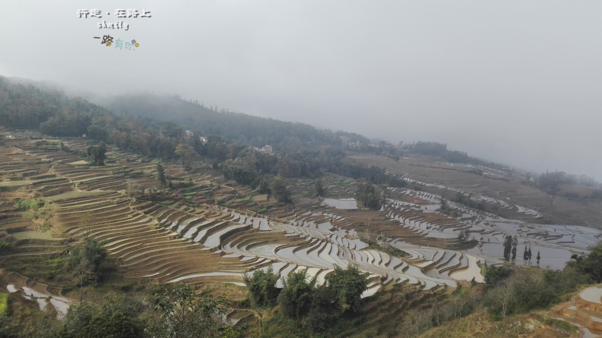 红河州有多少人口_越南的两大经济中心,命脉都被中国握住(3)