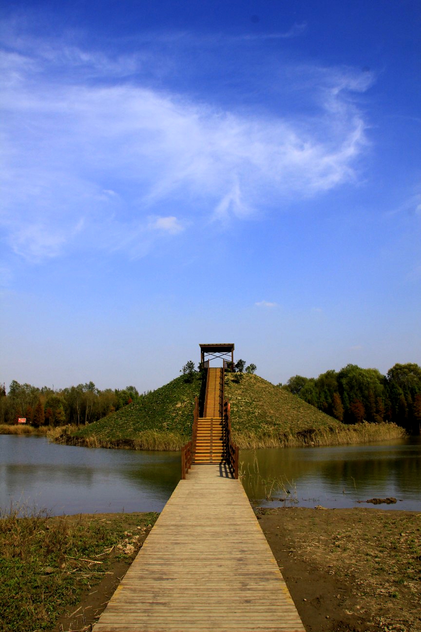 崇明岛西沙湿地