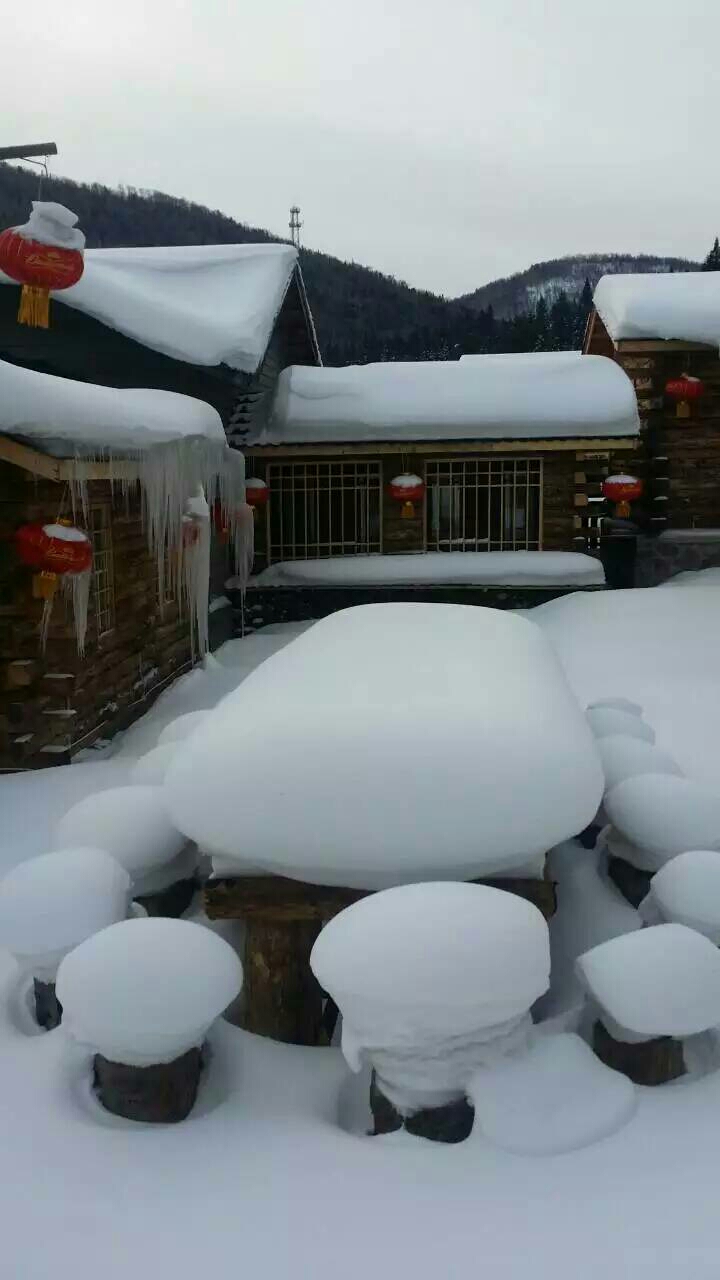 浪在东北的风流娘们