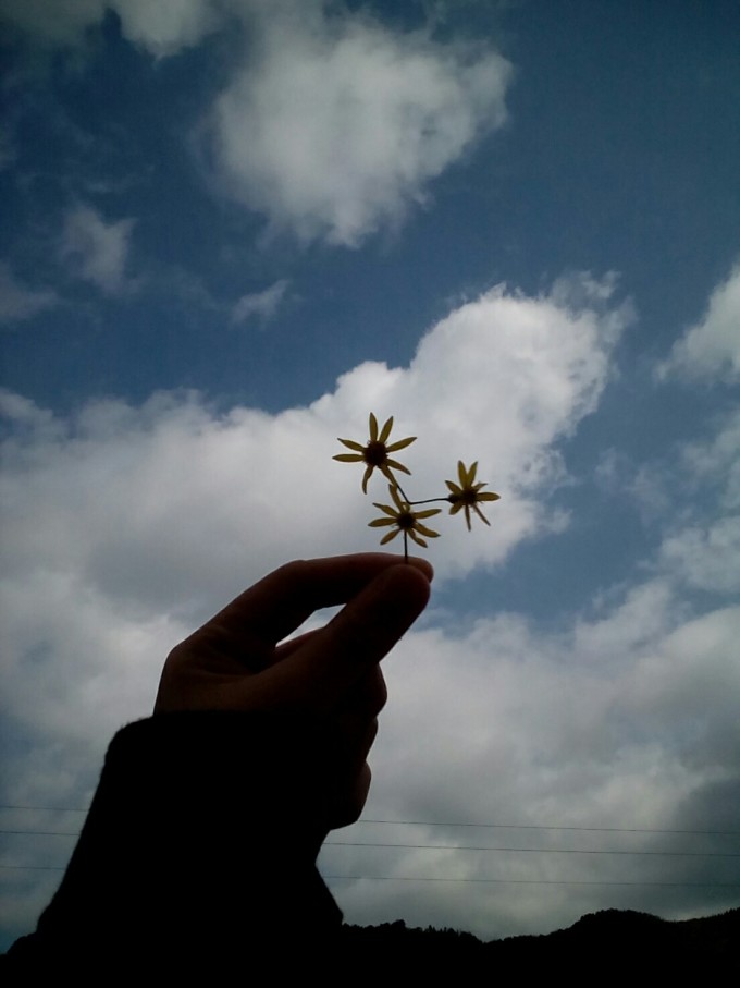 信宜话带字表情