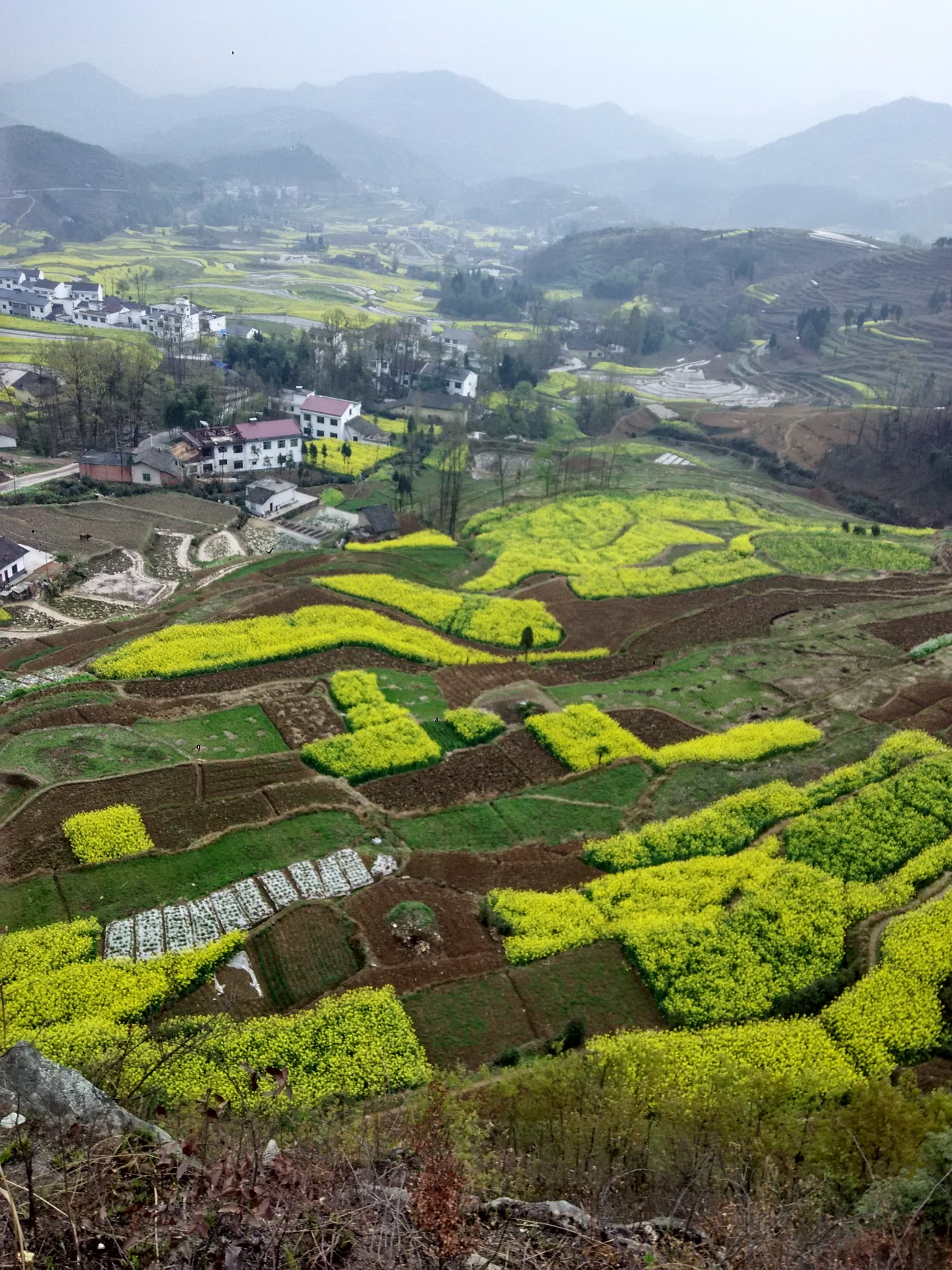 2016汉阴凤堰古梯田赏油菜花之旅