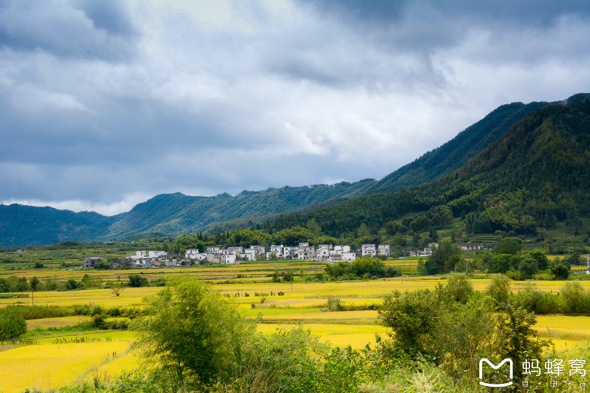 徽州:宏村的雾和碧山的光