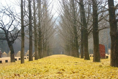 天津直飞首尔5天4晚自由行(赠首尔接机送+韩国