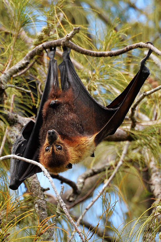 wKgBs1Y8NcmANLcNAAQ8bPLJfDk86.jpeg?imageView2%2F2%2Fw%2F600%2Fh%2F600%2Fq%2F90