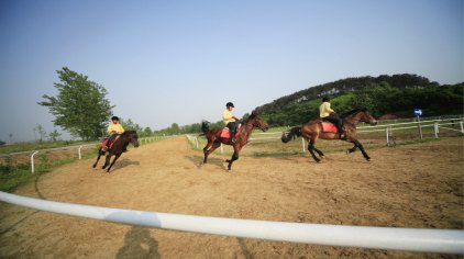 仪征红山体育公园门票