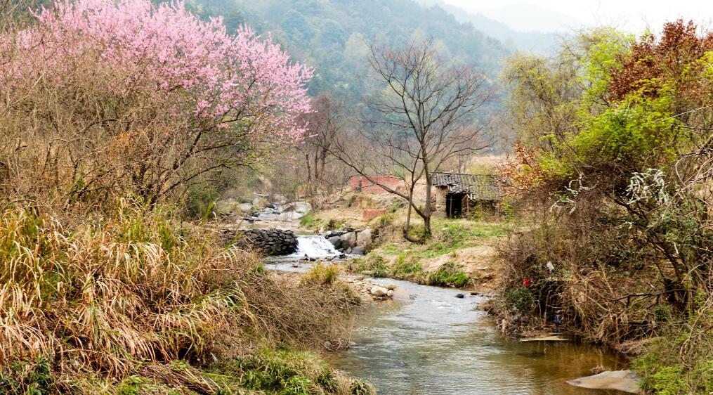 梅岭
