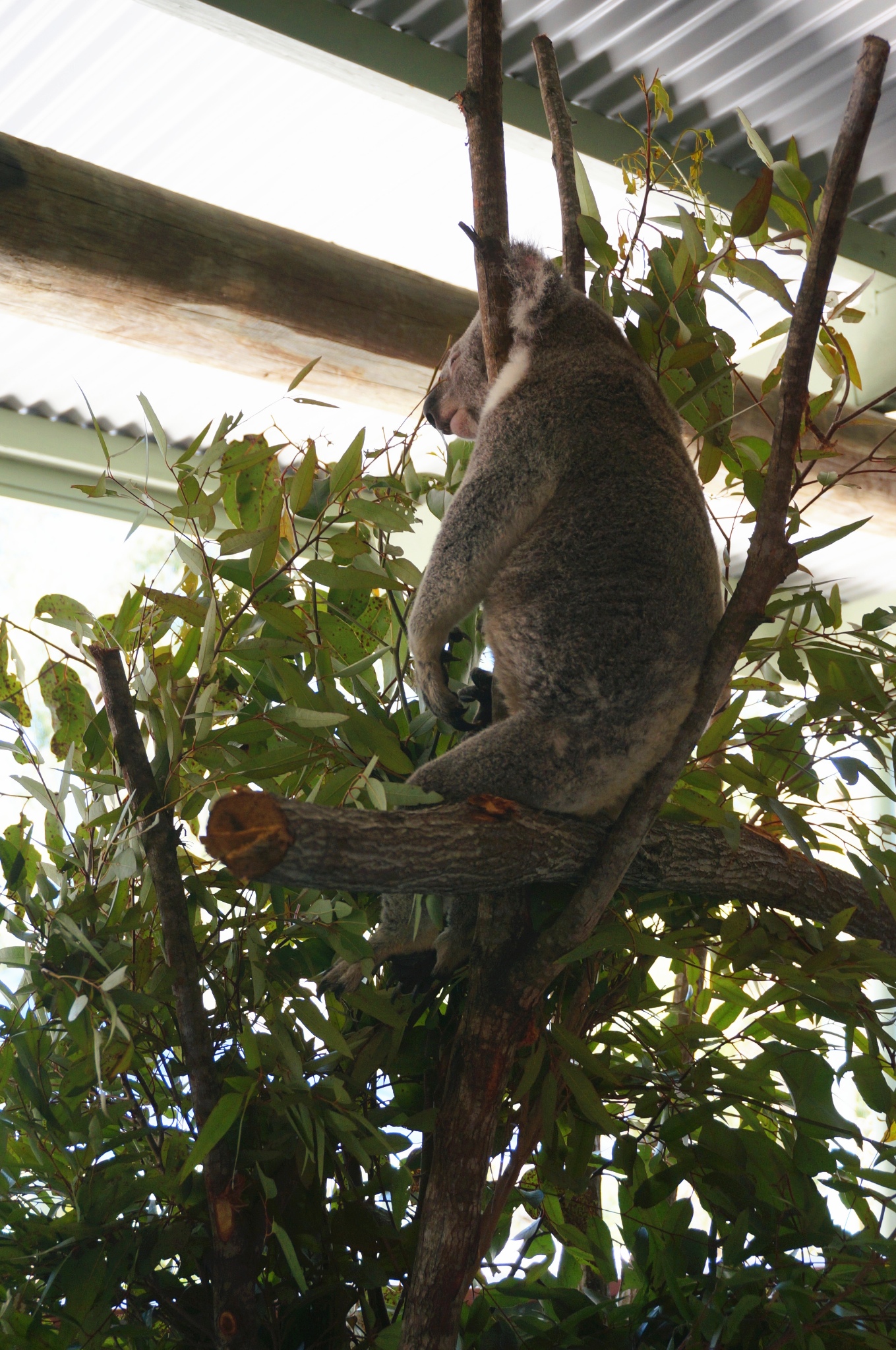 wKgBs1ZPTqmAchBiABGYjSJdHKQ42.jpeg?imageView2%2F2%2Fw%2F600%2Fq%2F90%7CimageMogr2%2Fstrip%2Fquality%2F90