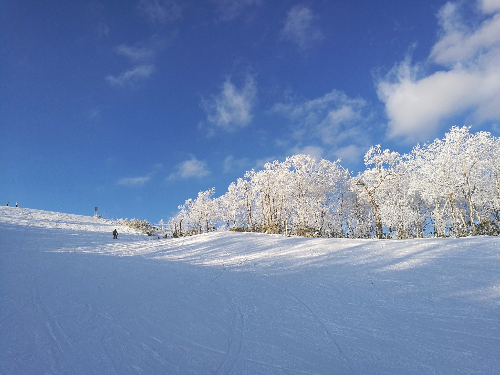 留寿都滑雪场