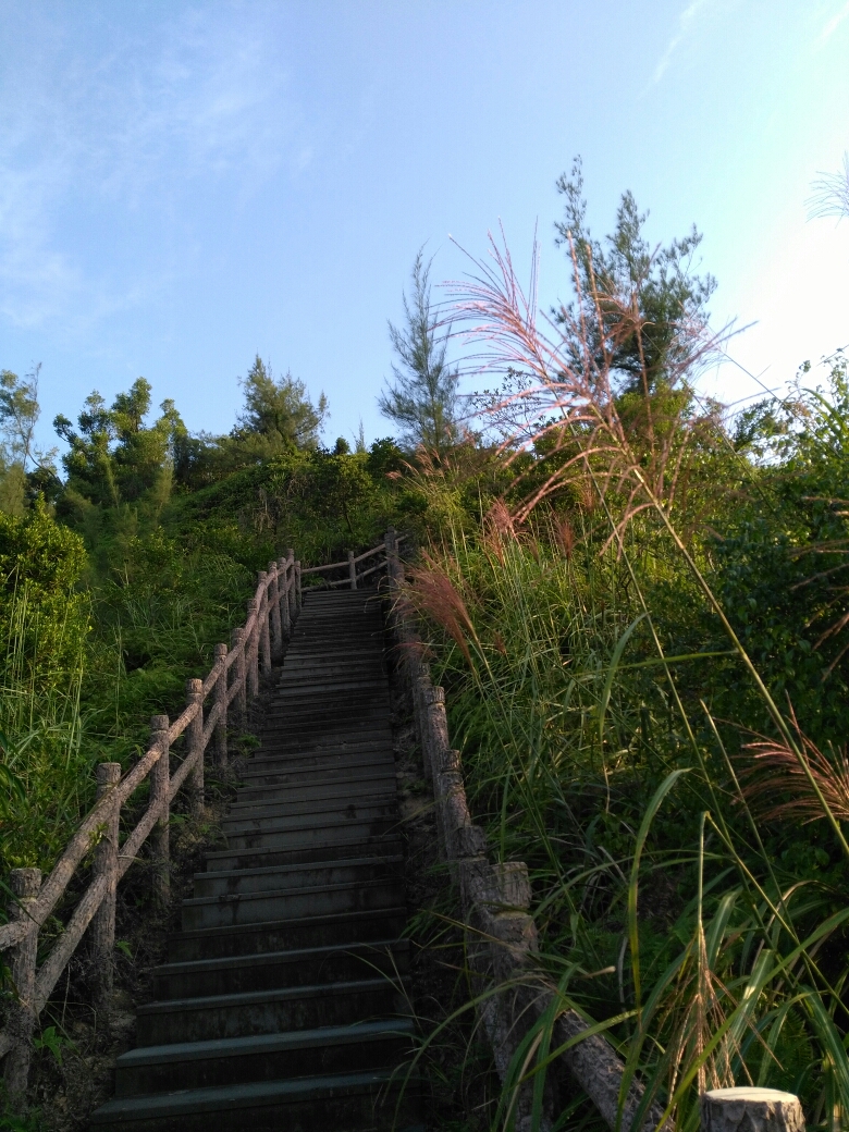 三岭山森林公园,湛江旅游攻略 - 马蜂窝