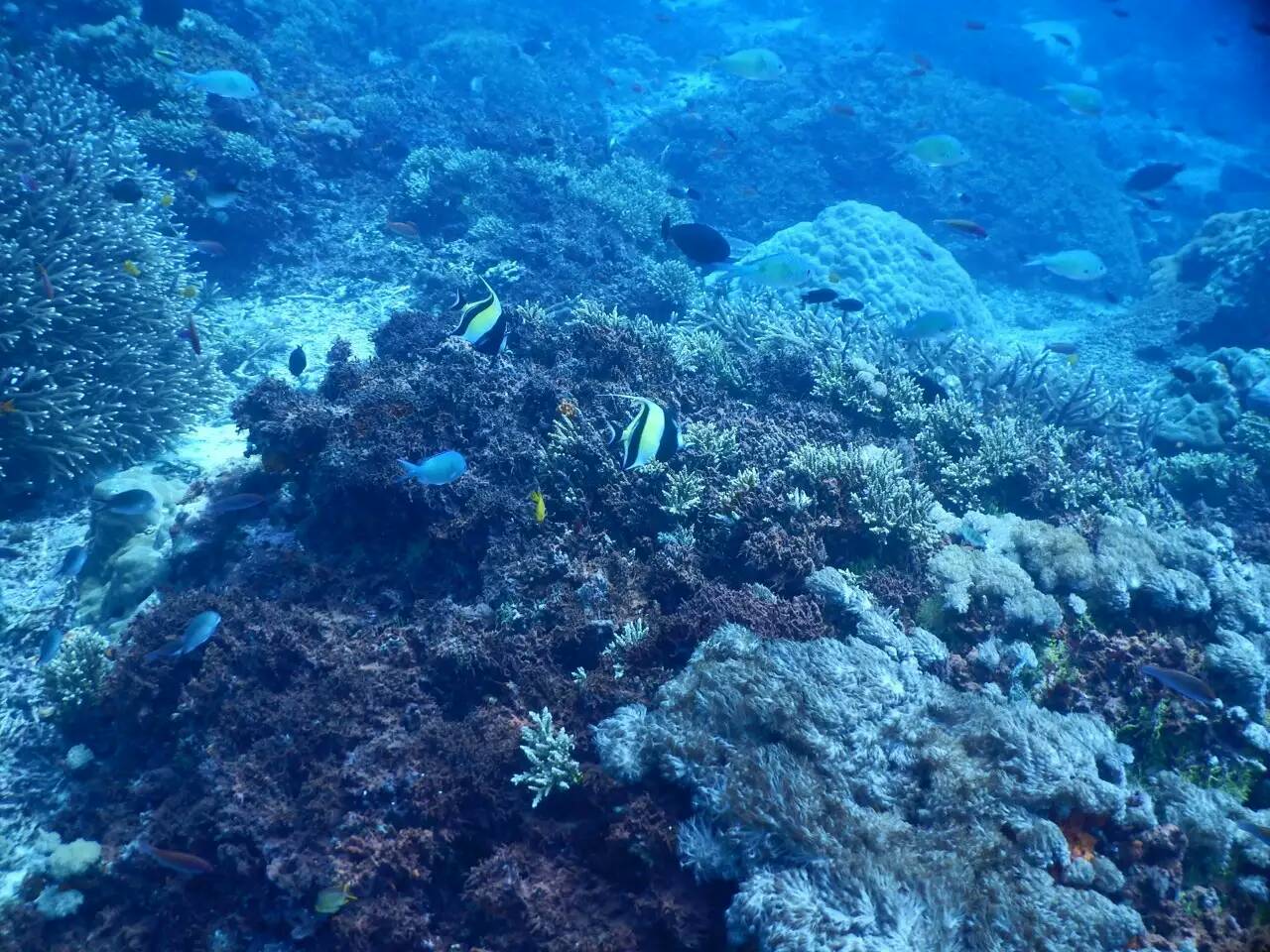 帕劳有多少人口_为什么帕劳是2015最美的海岛旅游地(3)