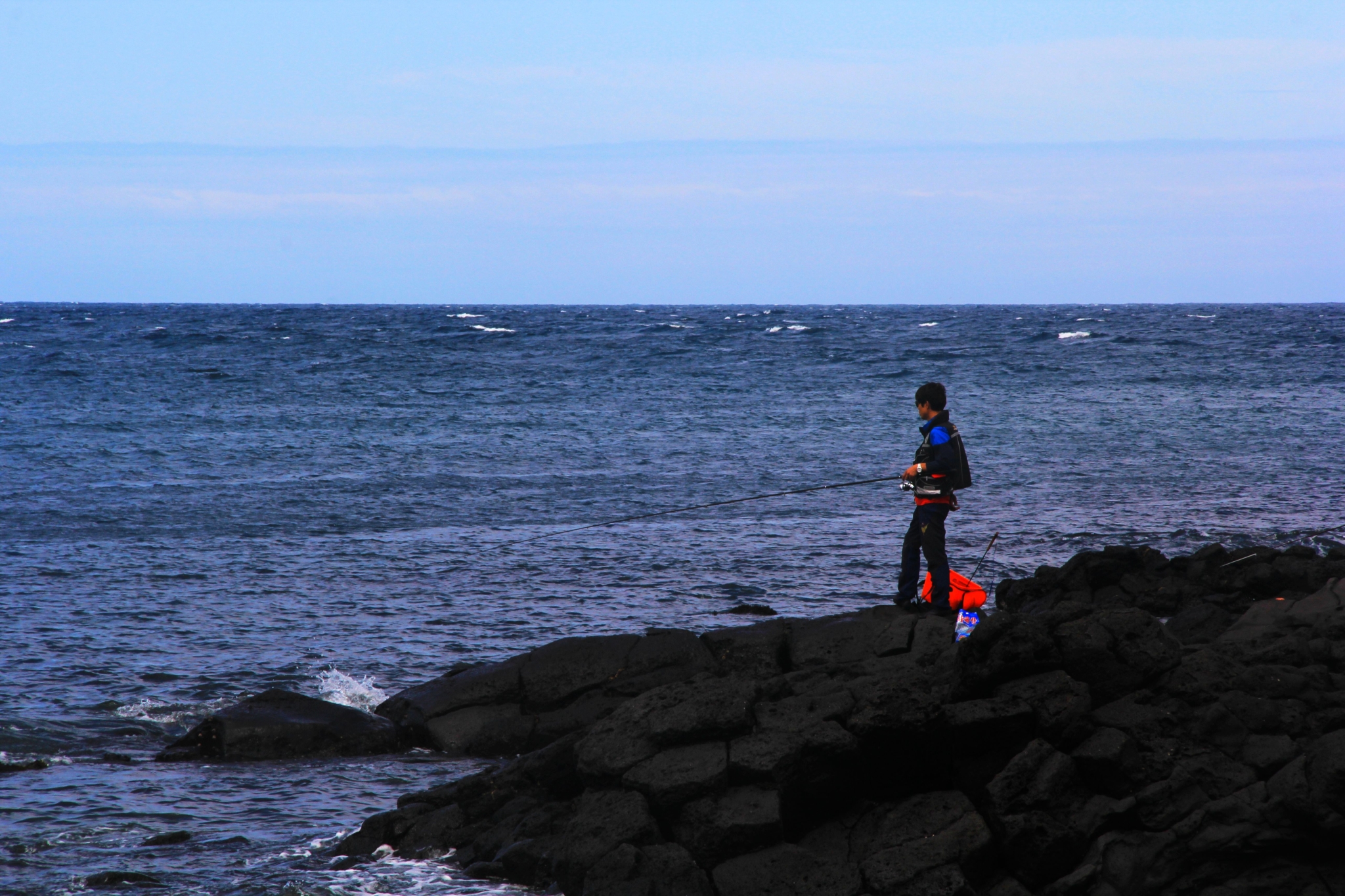 济州排名_济州真柏盆景图片(3)