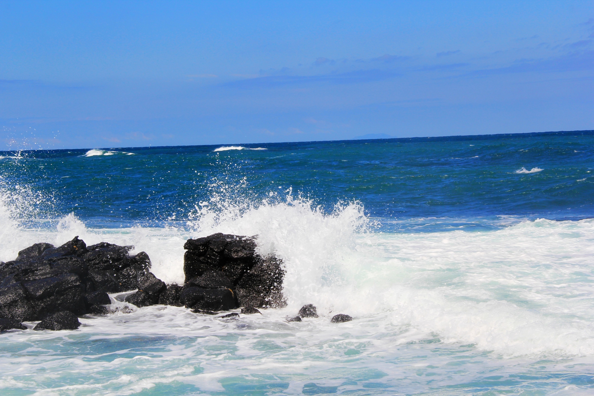 济州排名_济州真柏盆景图片(2)
