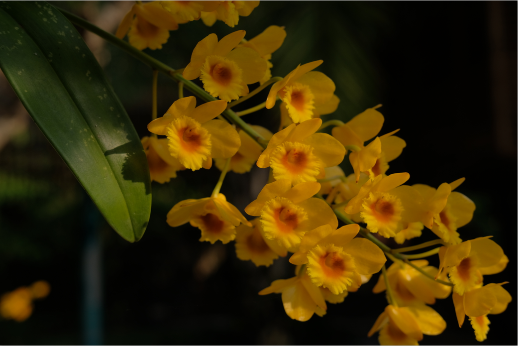 wKgBs1dqSa-AaWEaAAwPhtf_kIU462.png?imageView2%2F2%2Fw%2F600%2Fh%2F600%2Fq%2F90