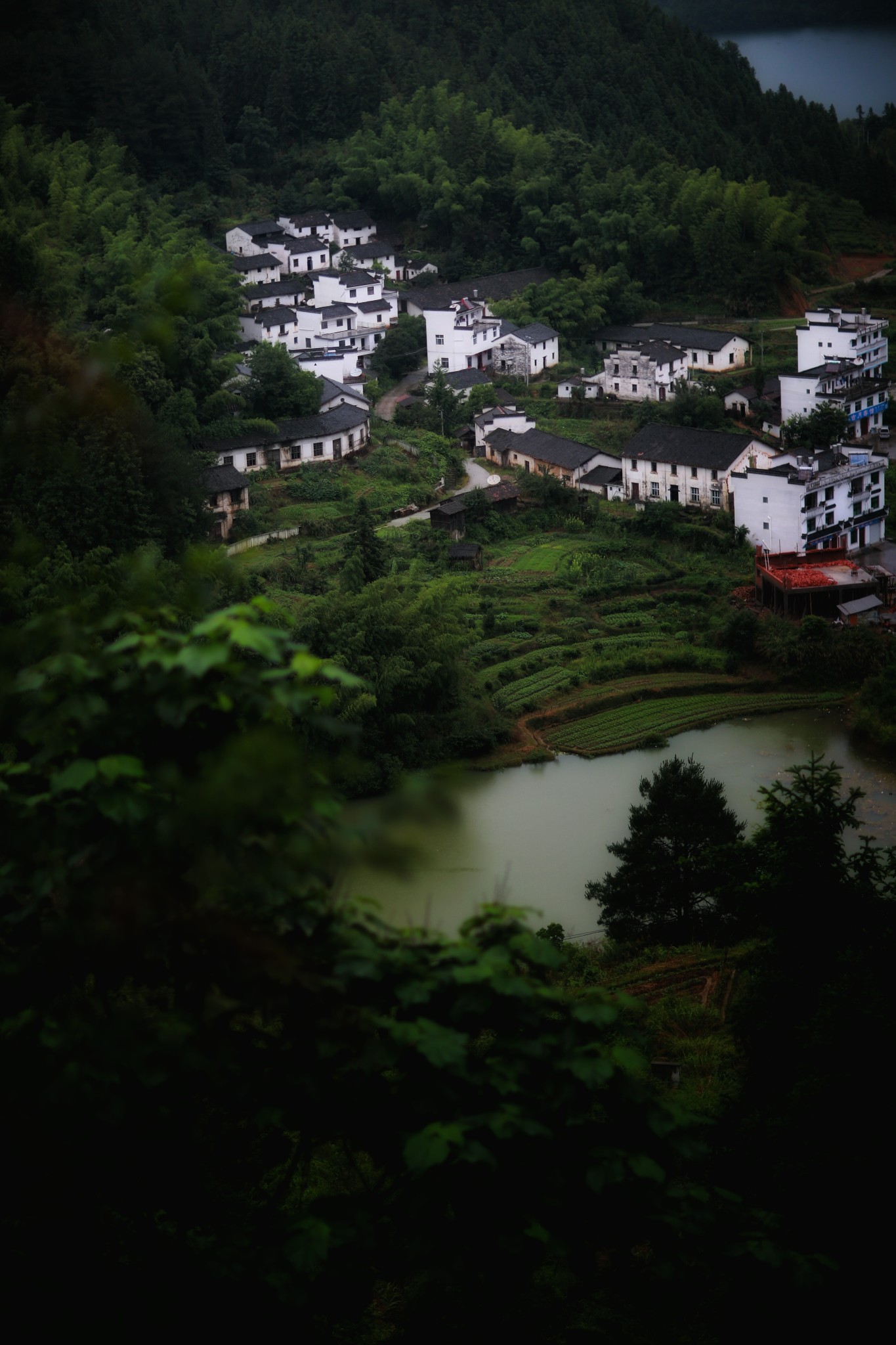 山重水路疑无路柳暗花明又一村猜成语
