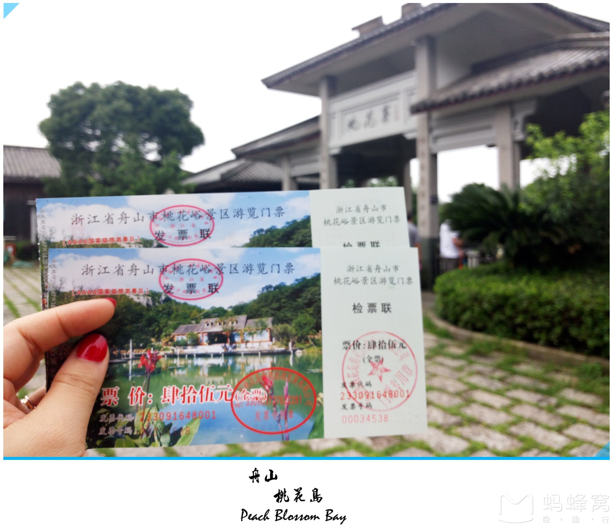 舟山桃花岛小众旅行指南(附宁波出发交通路线)