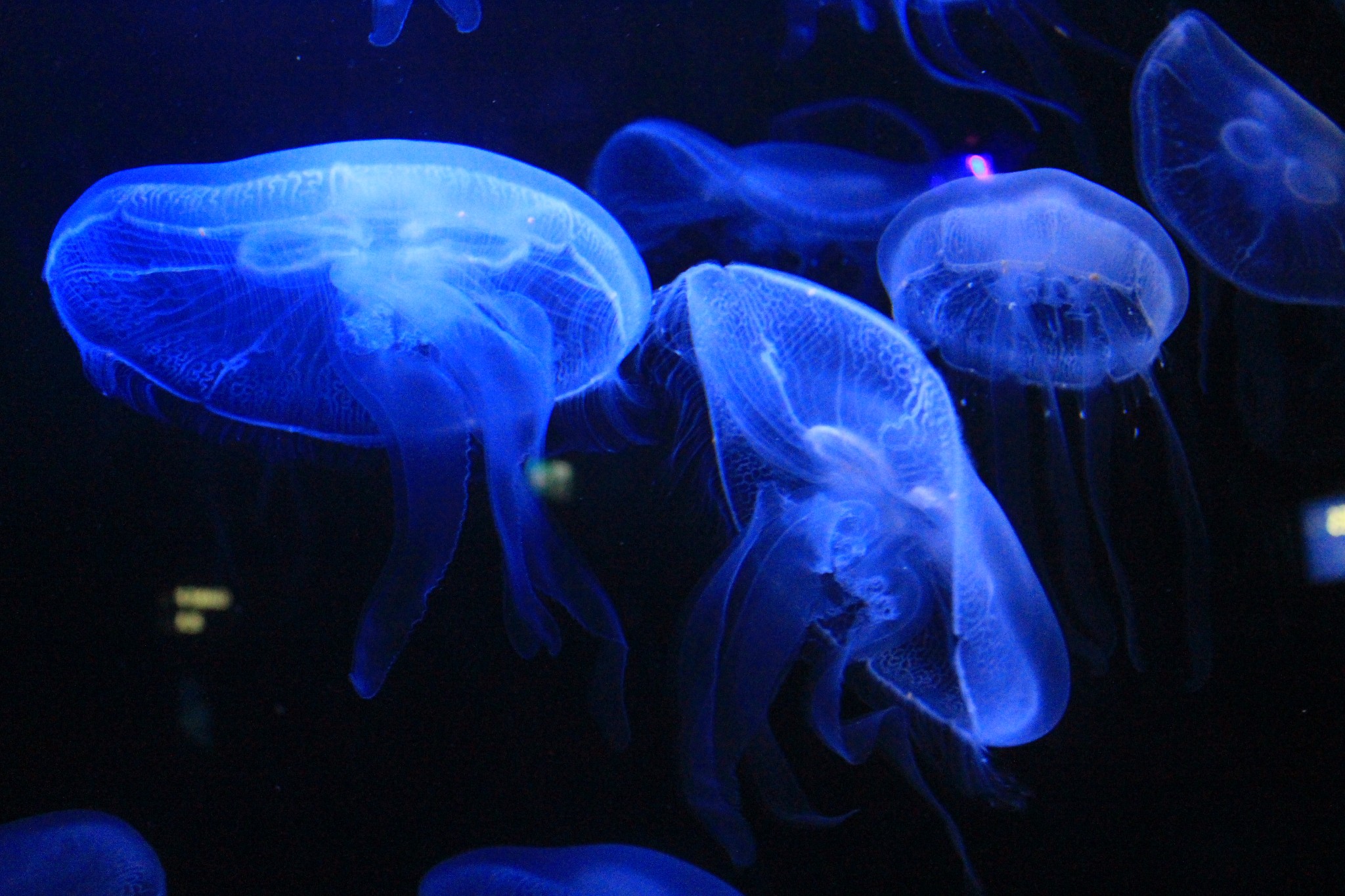 新加坡酒店_新加坡旅游景点_新加坡收入消费