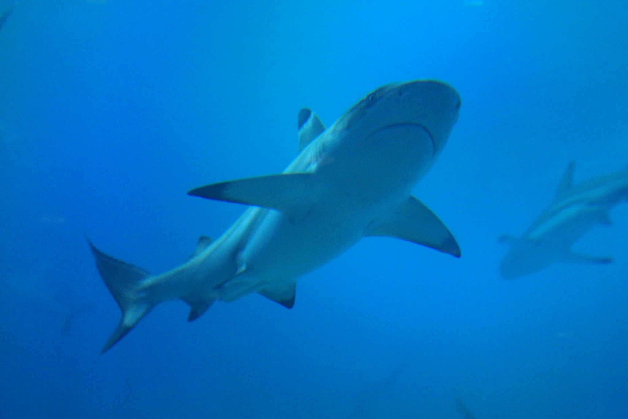 新加坡酒店_新加坡旅游景点_新加坡收入消费