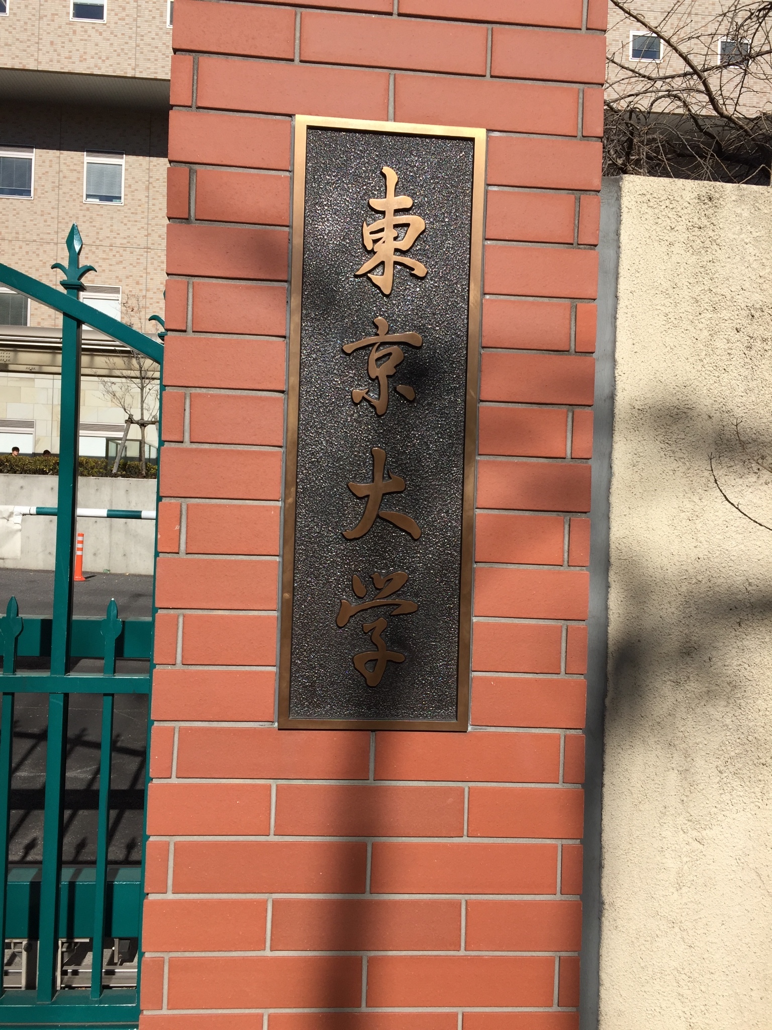 东京大学          