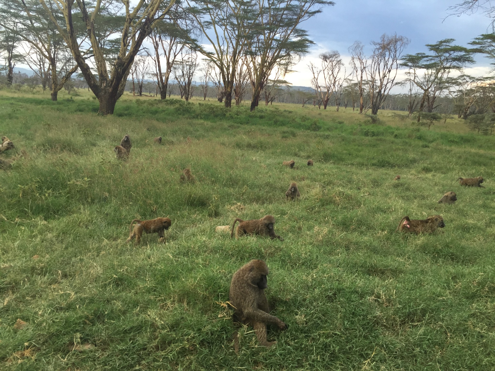 wKgBs1fG1IyACTuRABD7mVRTO3416.jpeg?imageView2%2F2%2Fw%2F600%2Fh%2F600%2Fq%2F90