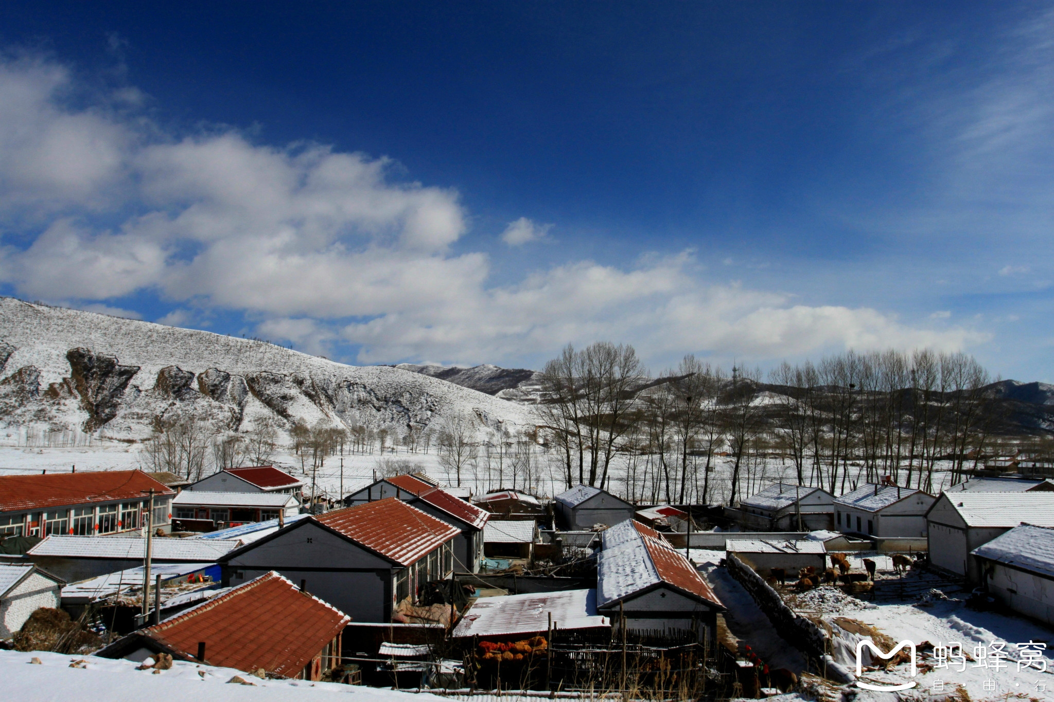 wKgBs1bVmPGAd08vAAyQPZGcsTM34.jpeg?imageView2%2F2%2Fw%2F600%2Fh%2F600%2Fq%2F90