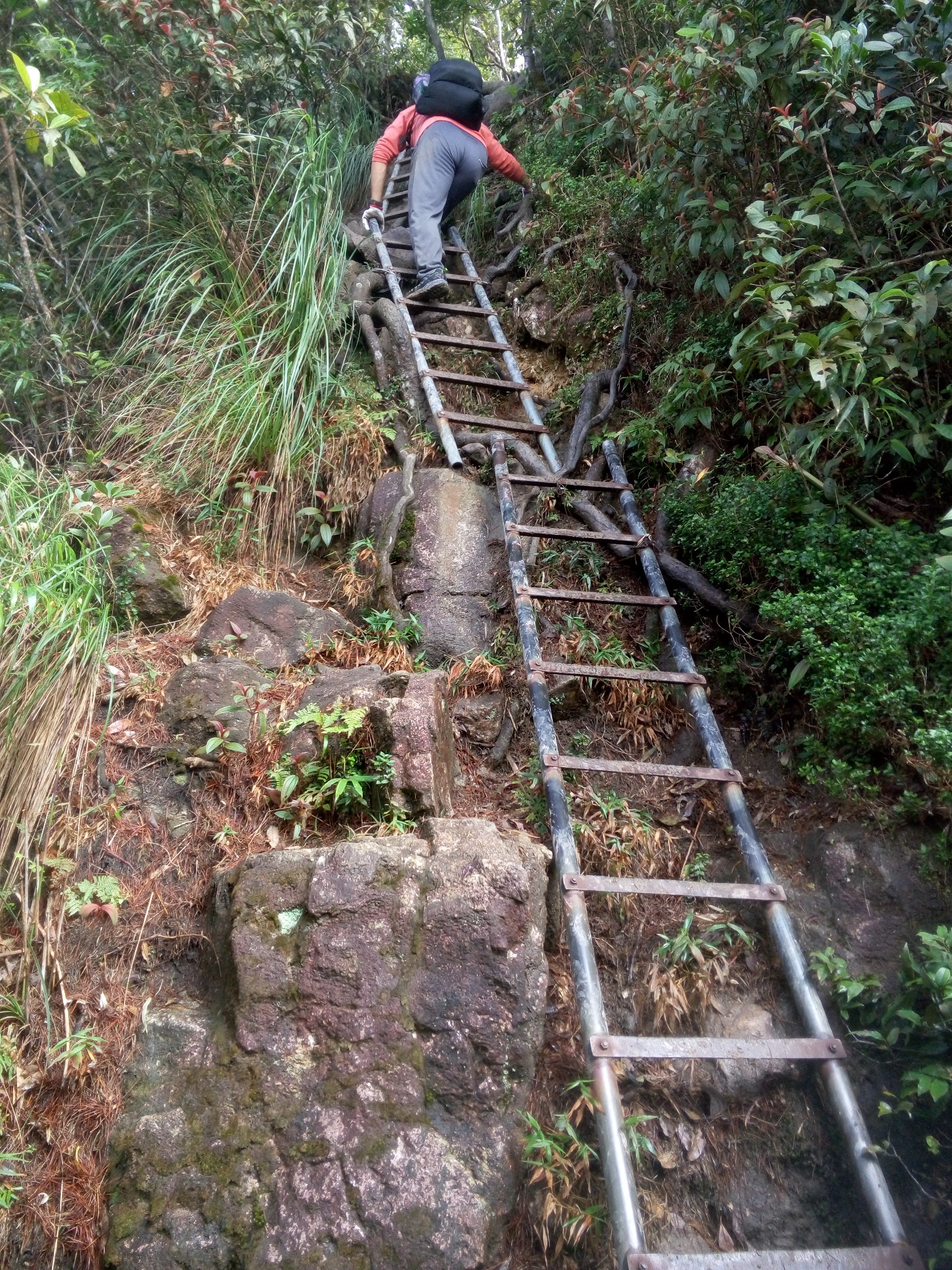 五指山人口_五指山的人口