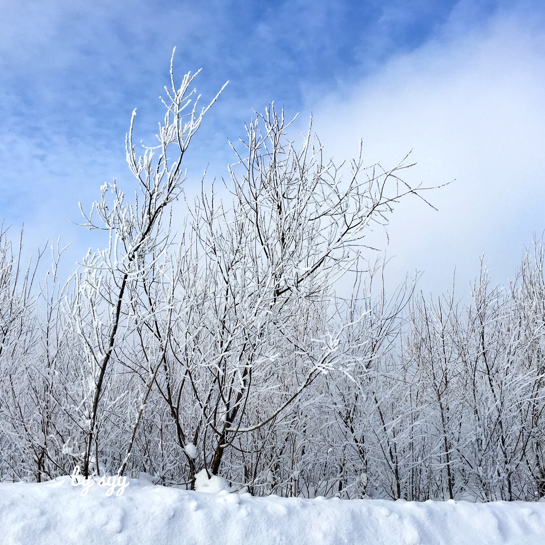 你在南方的艳阳里大雪纷飞 我在北方的寒夜里四季如春