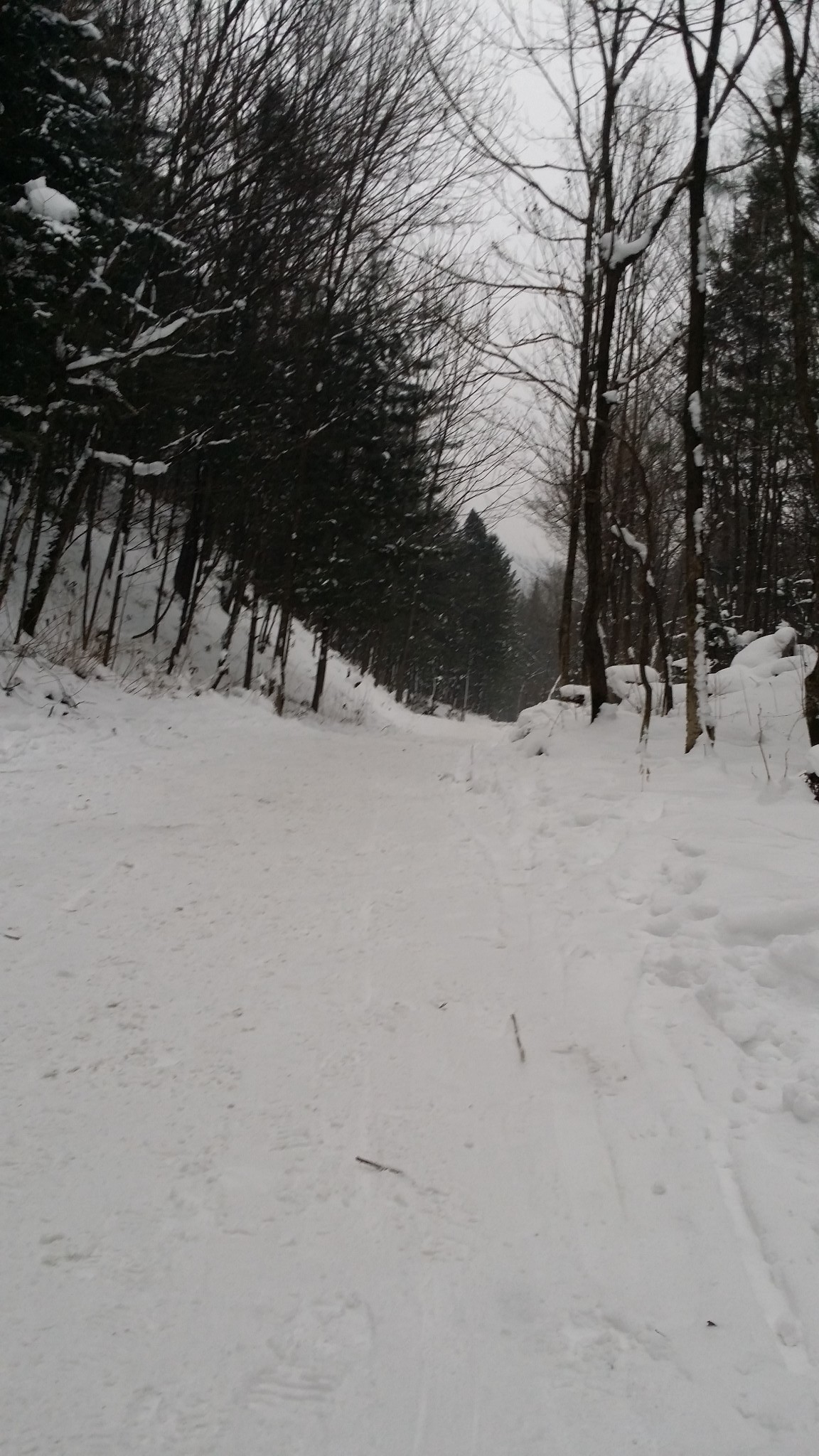 【哈尔滨】——北方的艳阳天,大雪纷飞!