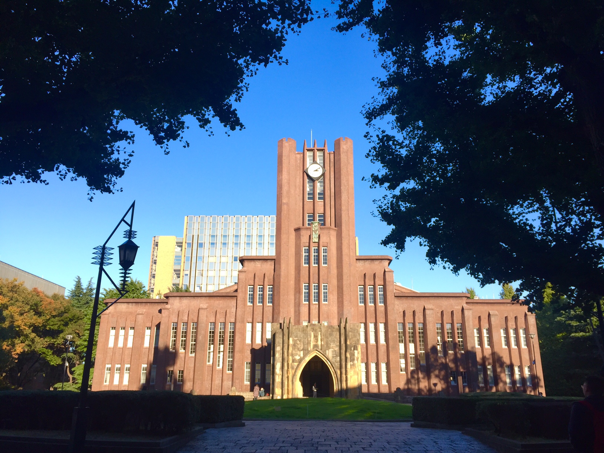 东京大学          