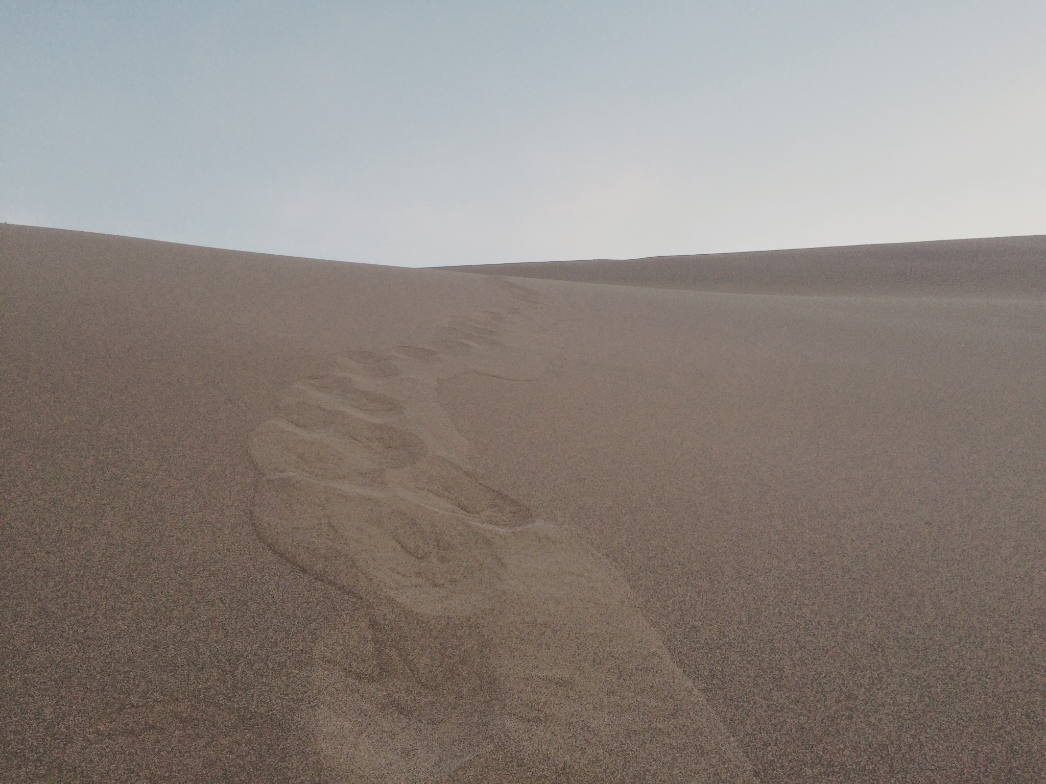 wKgBs1b71z6ASd8GAAoPPFwC-9k98.jpeg?imageView2%2F2%2Fw%2F600%2Fh%2F600%2Fq%2F90