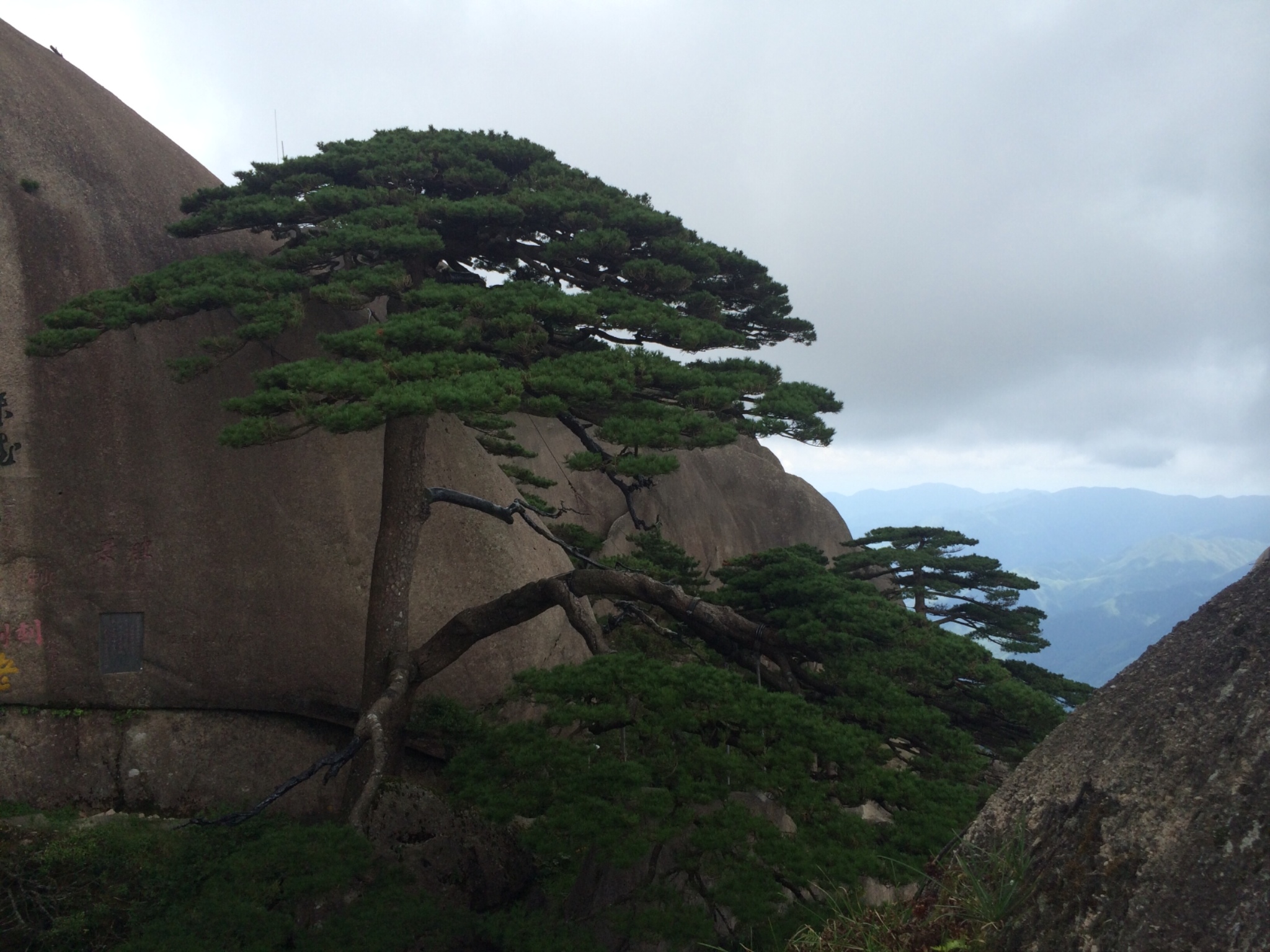 黄山露营