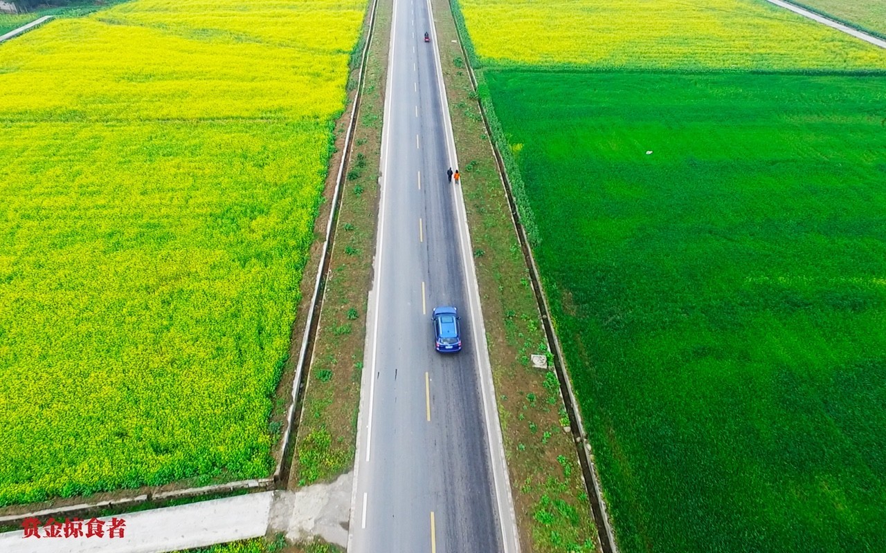重庆路          