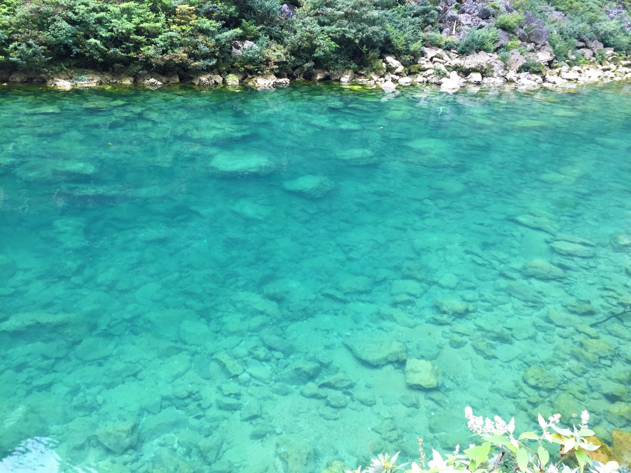 兴义都匀凯里gdp_都匀毛尖图片(2)