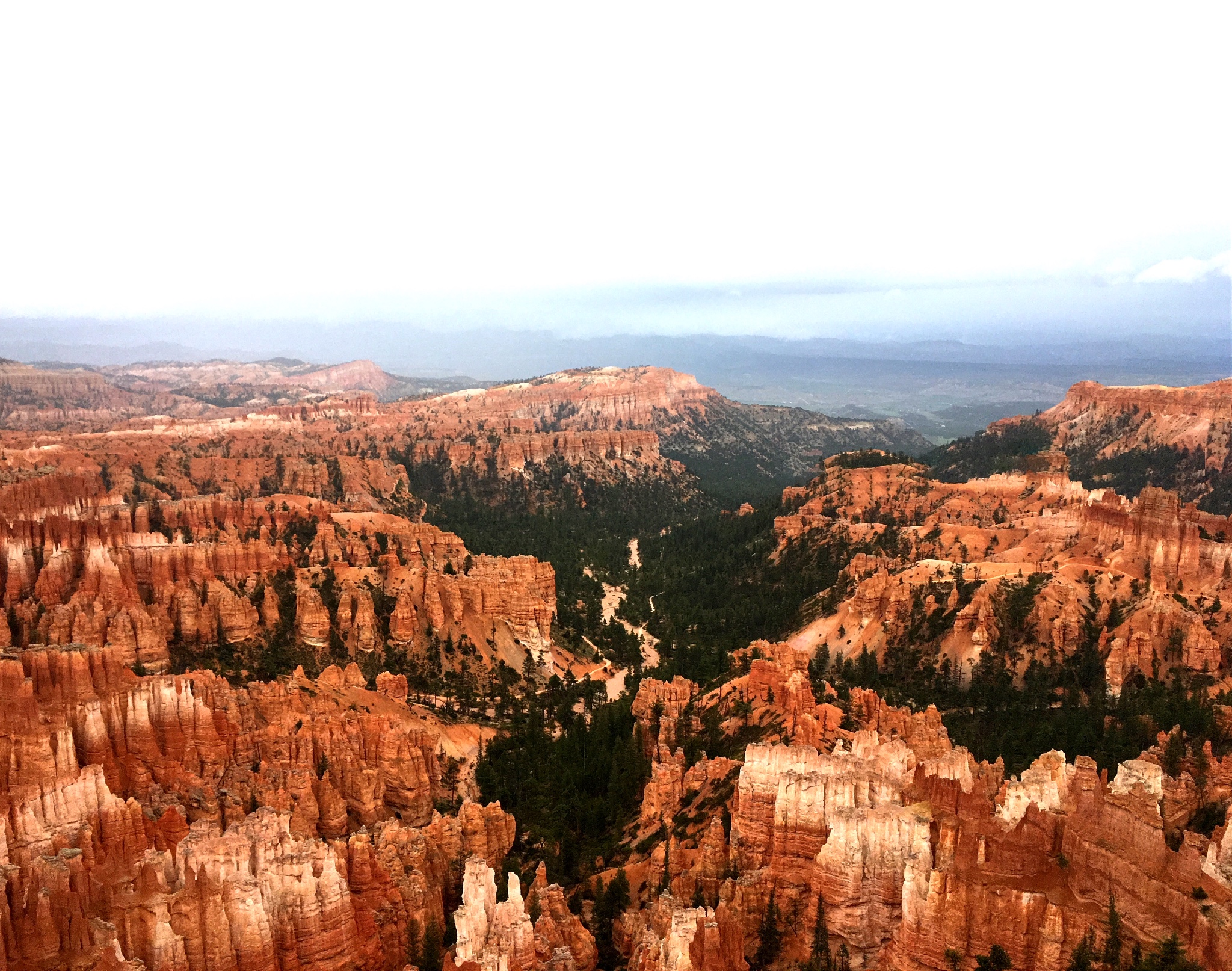 回复游记:美西小众国家公园之bryce canyon& zion national park