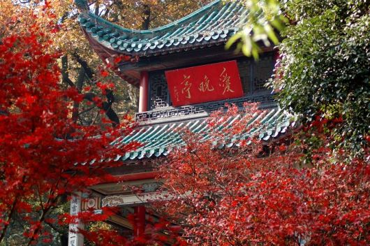 爱晚亭在岳麓山哪个门图片