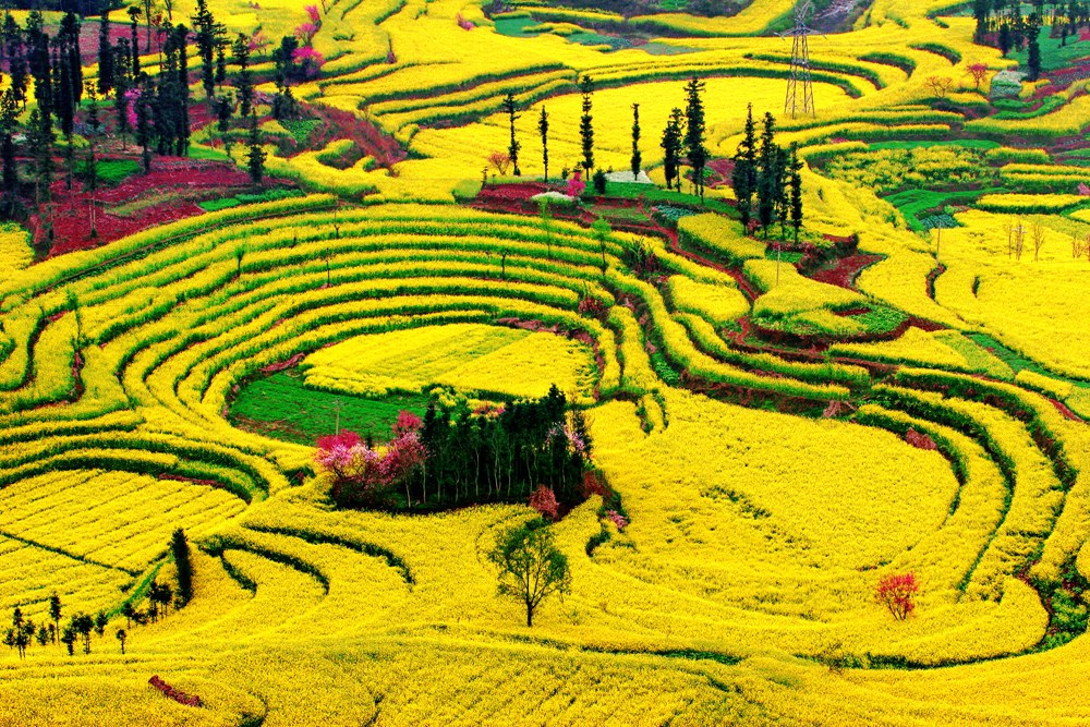 【昆明出发】云南罗平油菜花海 九龙瀑布群 多依河2日