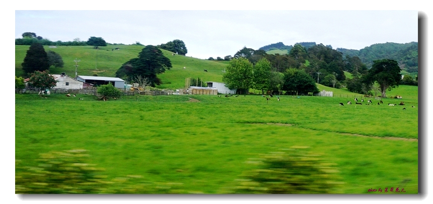 新西兰农场_澳大利亚新西兰_新西兰农场收入