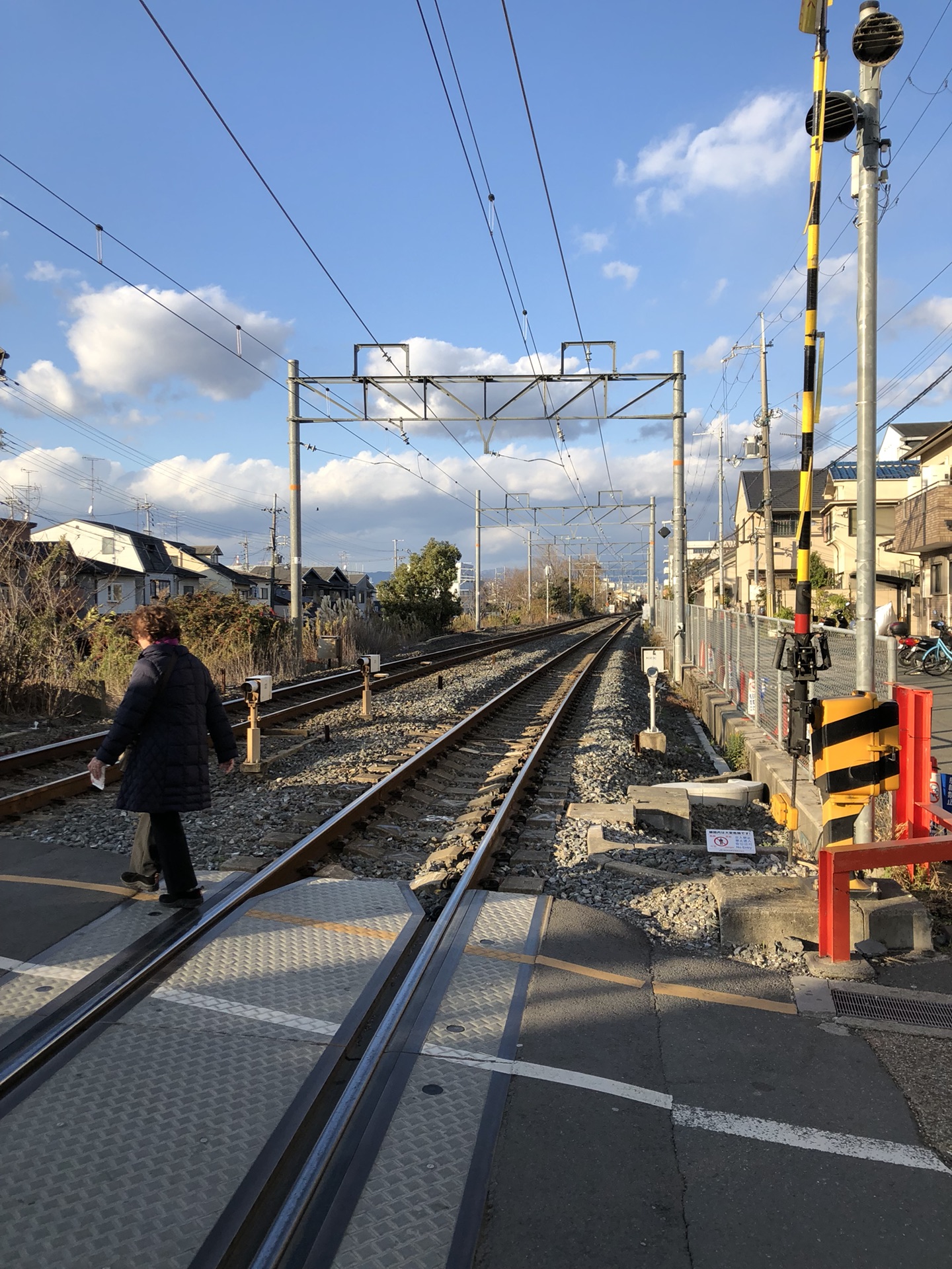 京都自助遊攻略