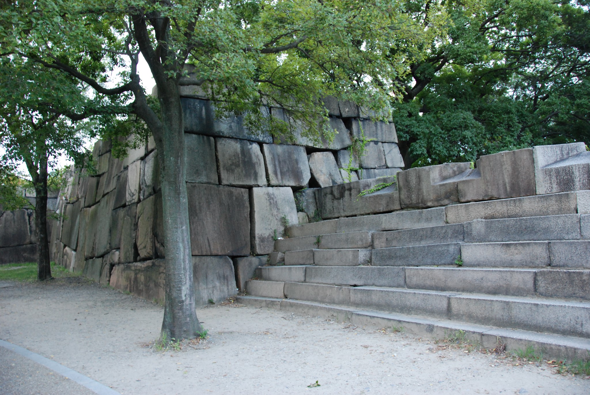 京都自助遊攻略