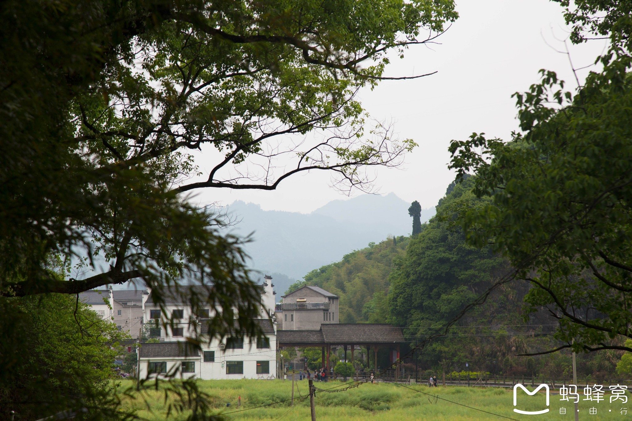 千島湖自助遊攻略