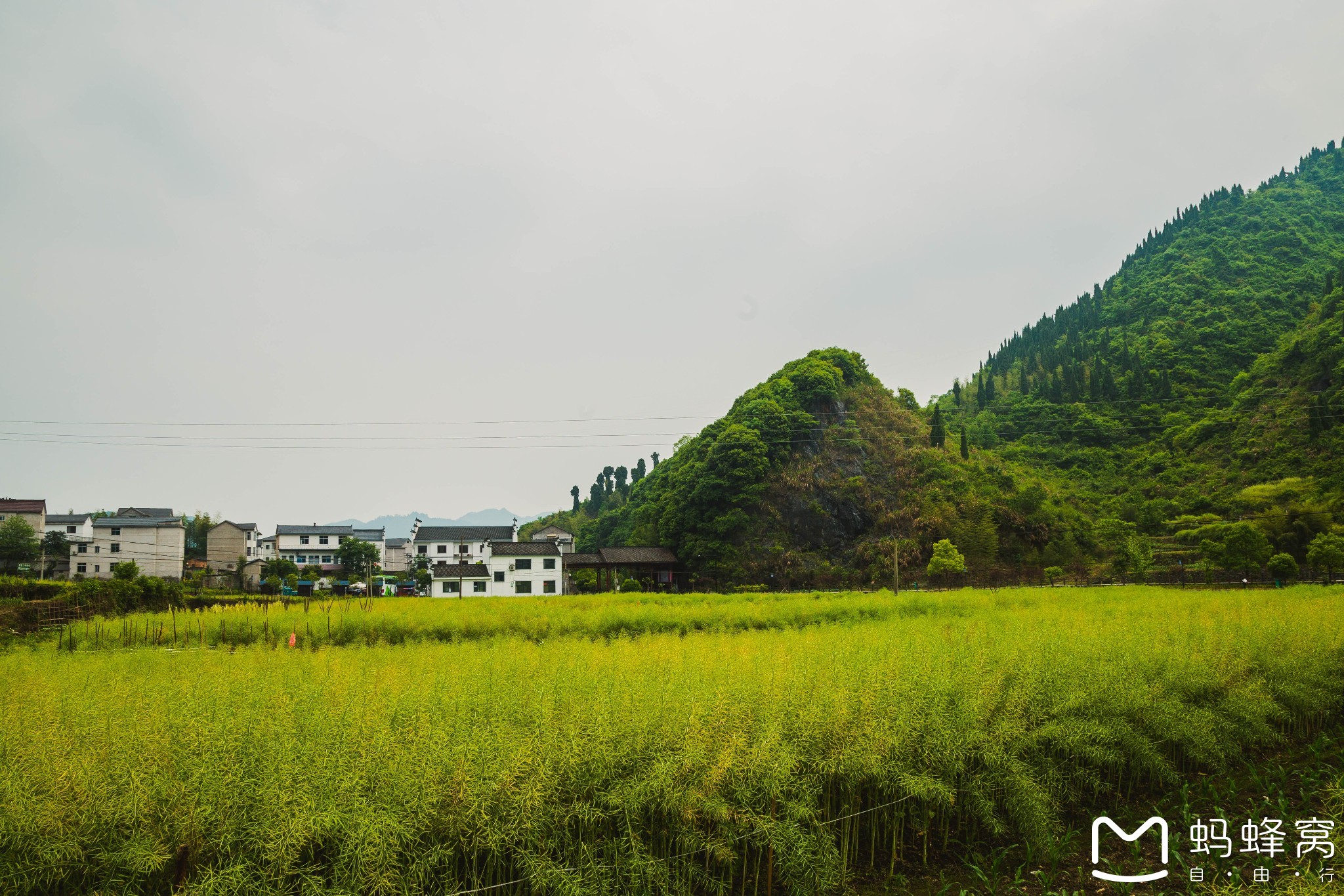 千島湖自助遊攻略