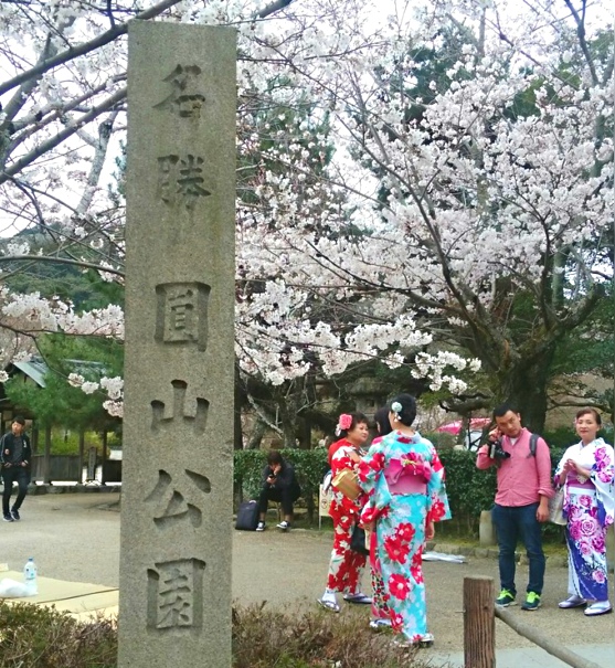 京都自助遊攻略