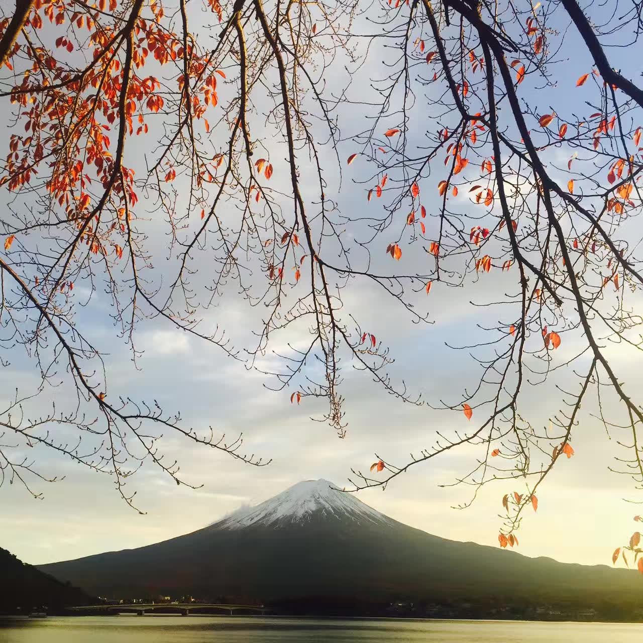 富士山自助遊攻略