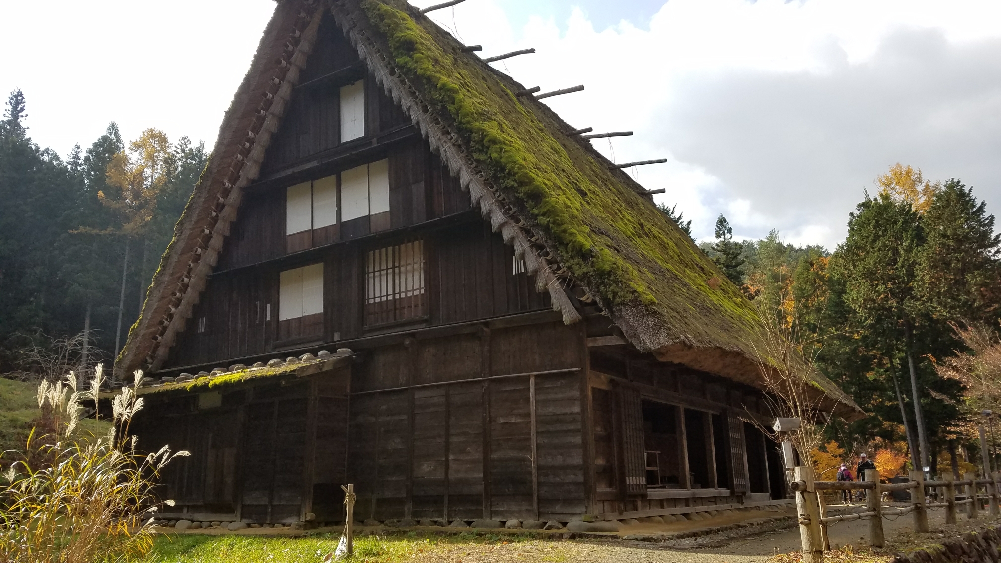 名古屋自助遊攻略