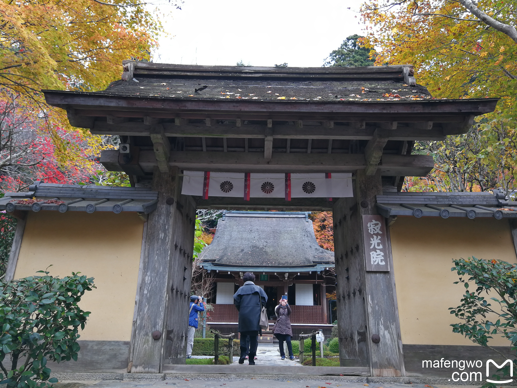 京都自助遊攻略