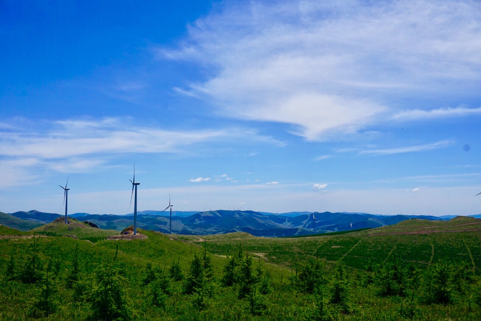 张北人口碑_张北草原天路图片(2)