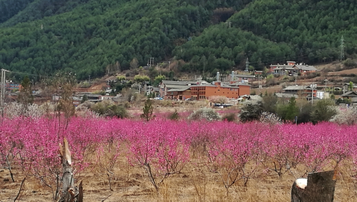 瀘沽湖自助遊攻略